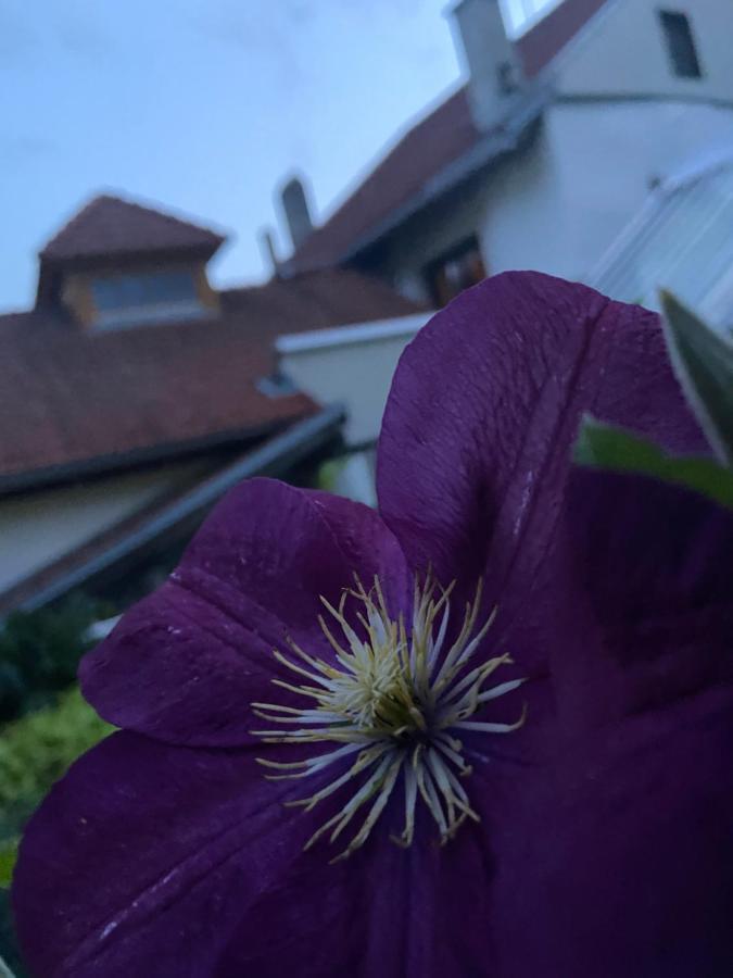 Gasthof Zum Mohrn Oberwoelz Stadt Exterior foto
